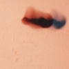 document sequence B