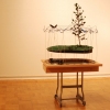 dream of flight