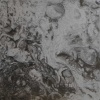 action sensor ecosystem: where worms go to die