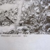 greenbelt ecosystem 8/06