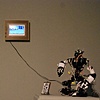 A.C.O.R.N. installation view