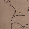 Shoulders
