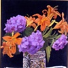 Hydrangeas and Daylilies 