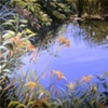 Airslie's Pond