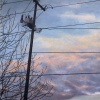Winter Sky