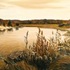 Crabmeadow Inlet