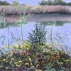 On the Bank of the Inlet