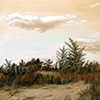 Sunken Meadow Dunes