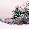 Winter Scene #2
