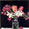 Axaleas, Tulips and Narcissus