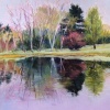 Bea's Pond