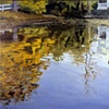 Mill Pond: Autumn Afternoon