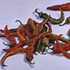 Hot Peppers