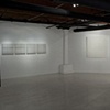 Scott Gruss at The Palmer Gallery