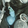 Cookie Monster 