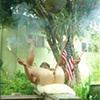 Old Glory