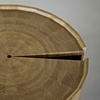 stump 2