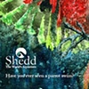 Shedd Campaign Parrot-Fish