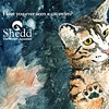 Shedd Campaign Cat-Fish