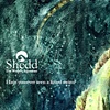 Shedd Campaign Lizard-Fish