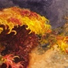 The Fire This Time Illustration