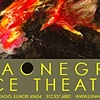 Luna Negra Dance Company
