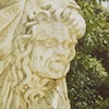 Medusa's Head