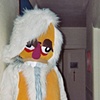 Costumes