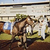 On the Paddock