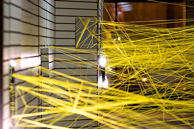 NETWORK, 2009