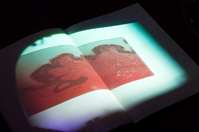 READING GESTURES, 2007