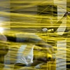 NETWORK, 2009
