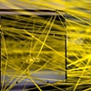 NETWORK, 2009