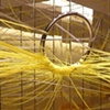 Video - NETWORK HUB, 2009

