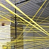 NETWORK, 2009