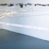 CONTINUITY, 2009, 2008