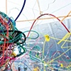 CONNECTIVITY (condensed), 2009