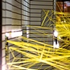 NETWORK, 2009