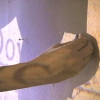 MAPPING, 2001