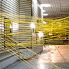 NETWORK, 2009
