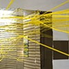 NETWORK, 2009