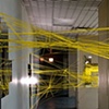 NETWORK, 2009