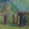tanglewood trees