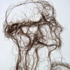 untitled - detail