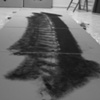 trace _ home _ in progress