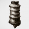 trace_vase