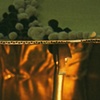 gold boobi trap detail