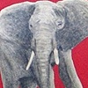 Pink Elephant