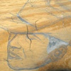 Roseman (detail)