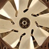 The Fan